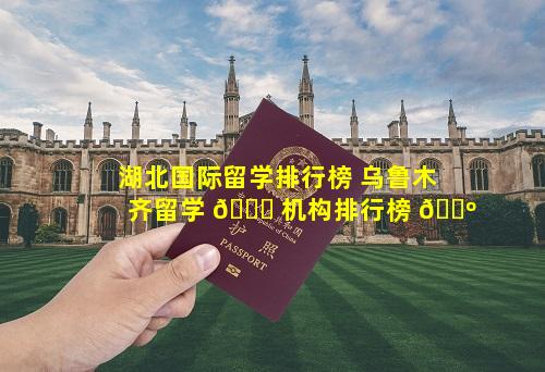 湖北国际留学排行榜 乌鲁木齐留学 🕊 机构排行榜 🌺